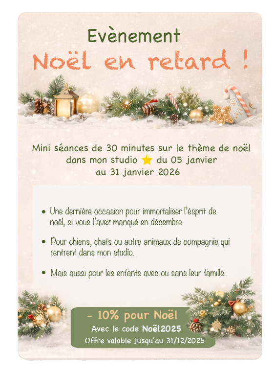 Noël en retard